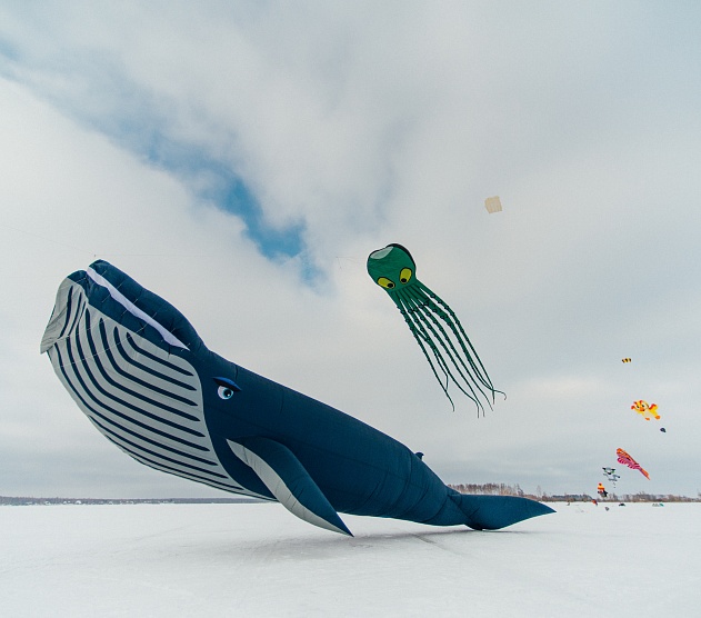 фотография события