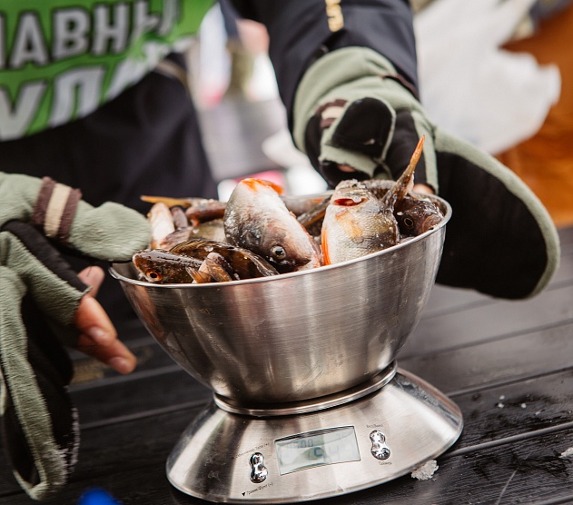 фотография события