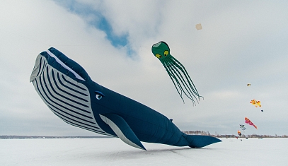 Шоу воздушных змеев/Этап кубка России по сноукайтингу