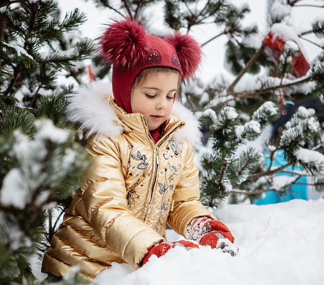 фотография события