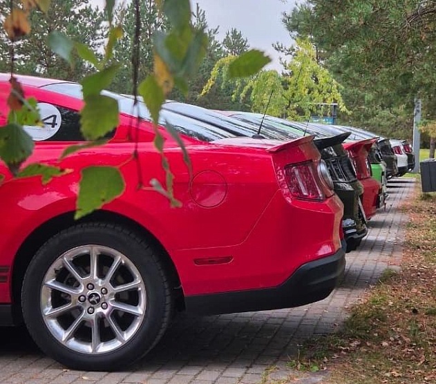 фотография события