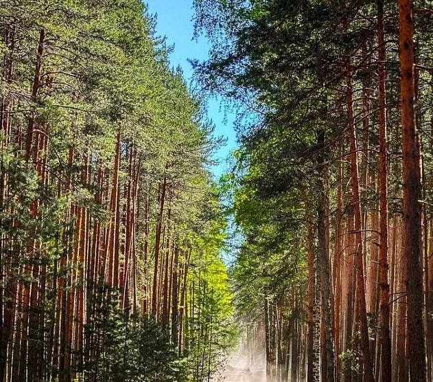 фотография события