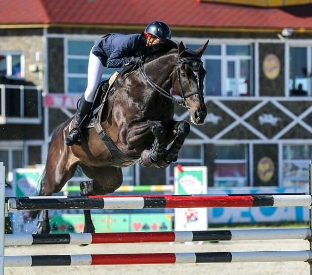 фотография события