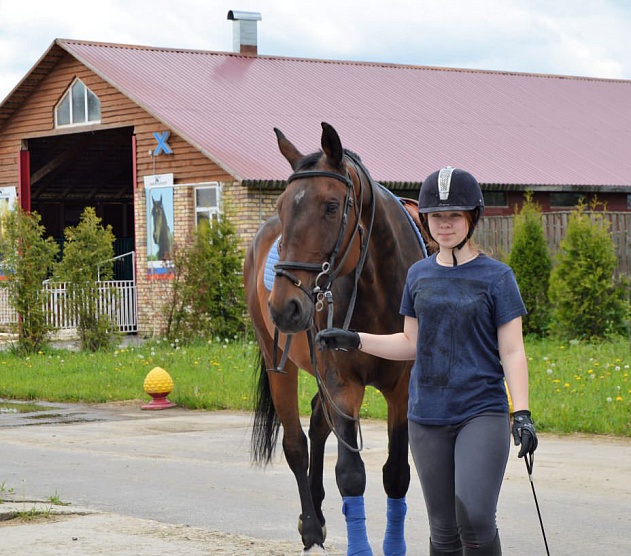 фотография события