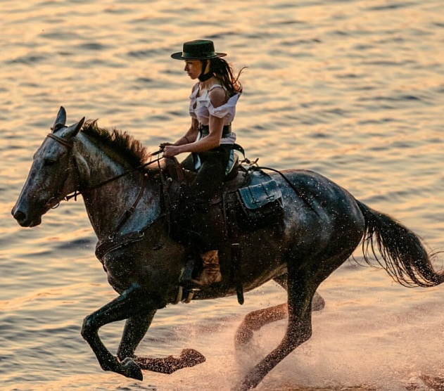 фотография события