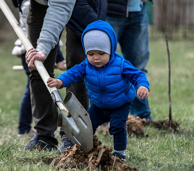 фотография события