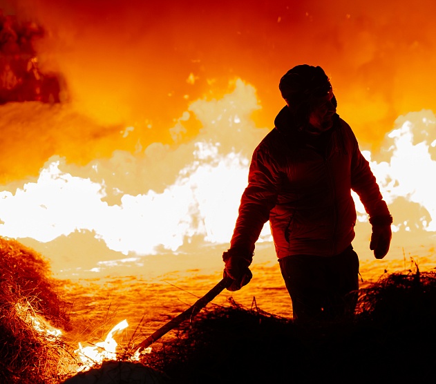 фотография события