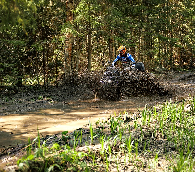 фотография события