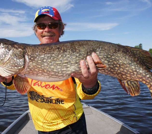 фотография события