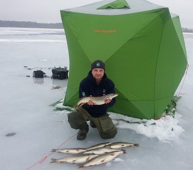 фотография события