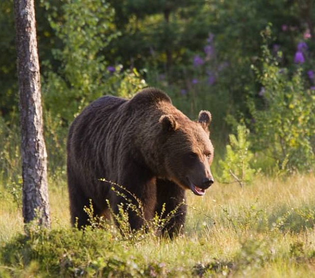 фотография события