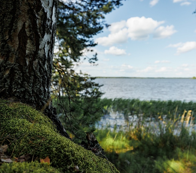 фотография события