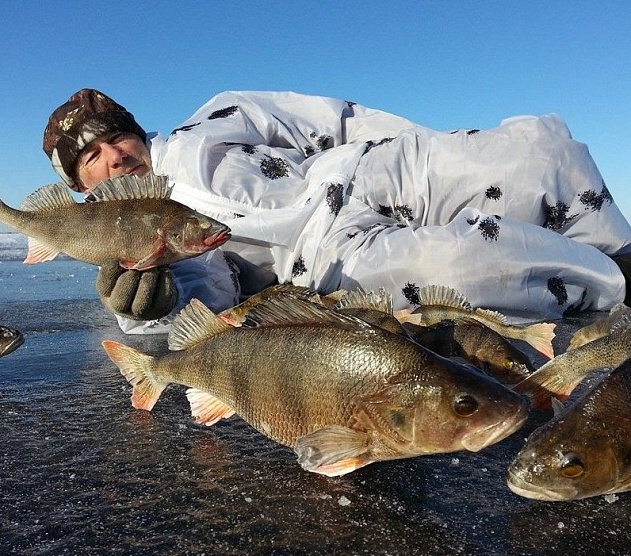 фотография события