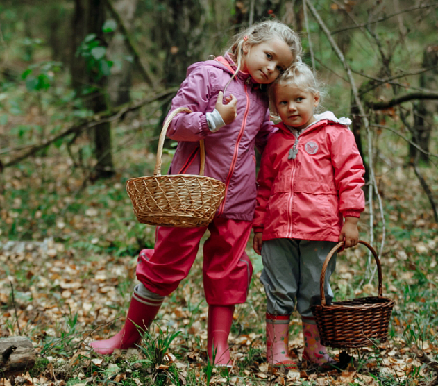 фотография события