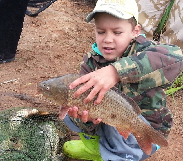 фотография события