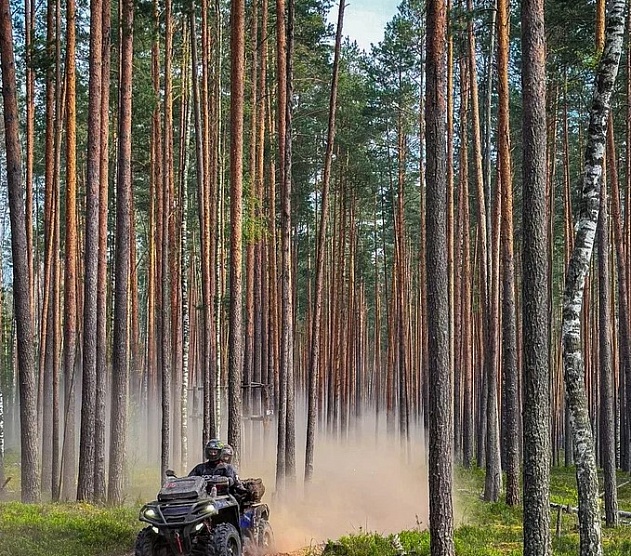 фотография события