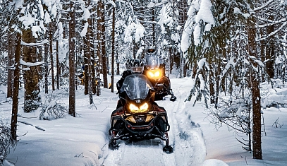 Лесная экспедиция