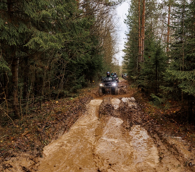 фотография события