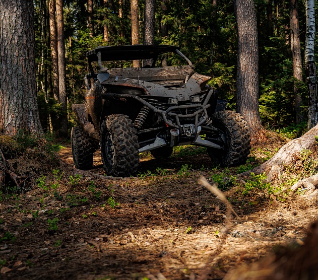 фотография события