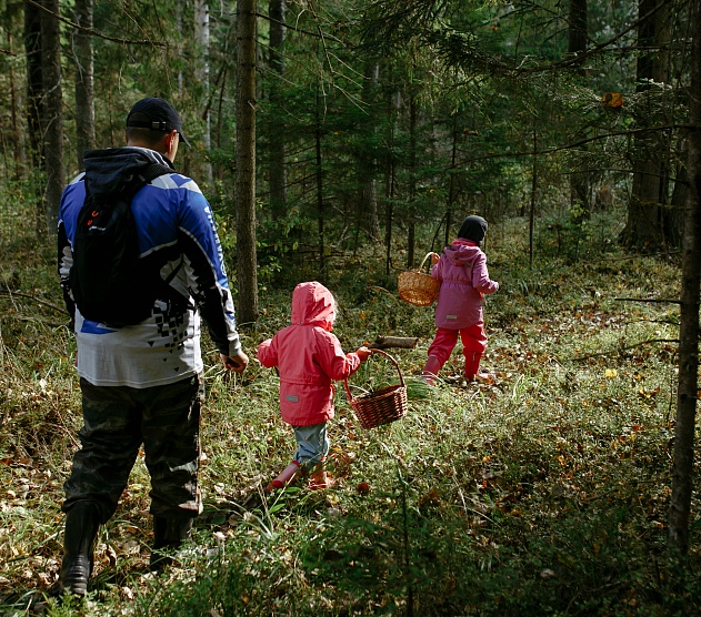 фотография события