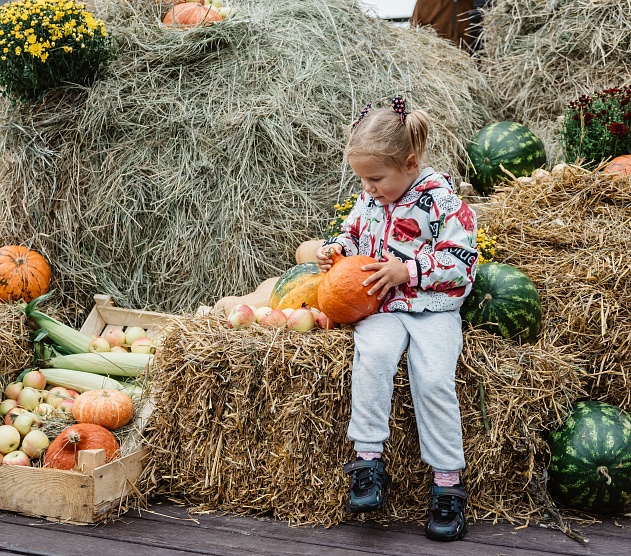 фотография события