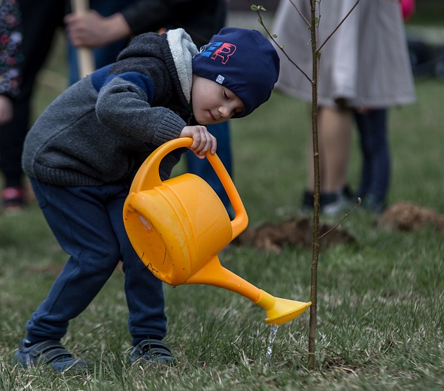 фотография события