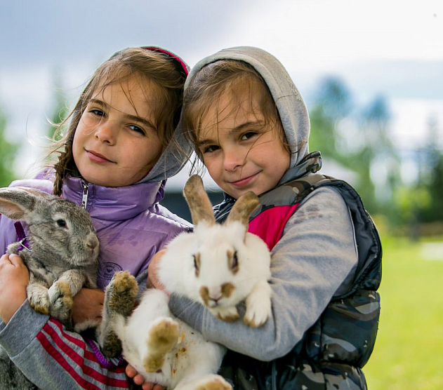 фотография события