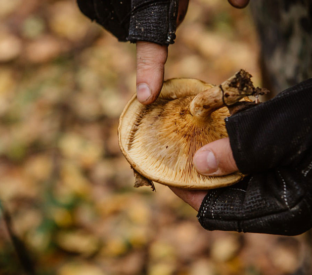 фотография события
