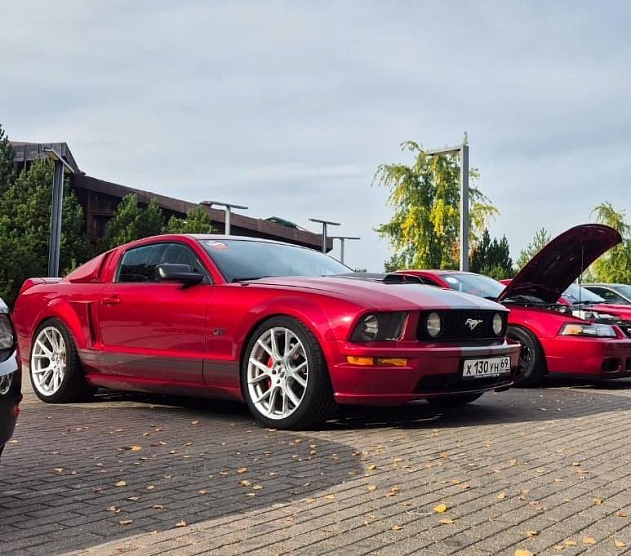 фотография события