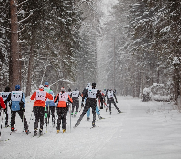 фотография события