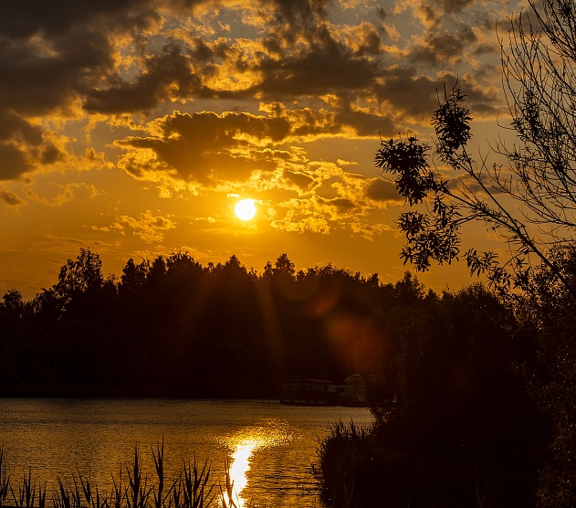 фотография события