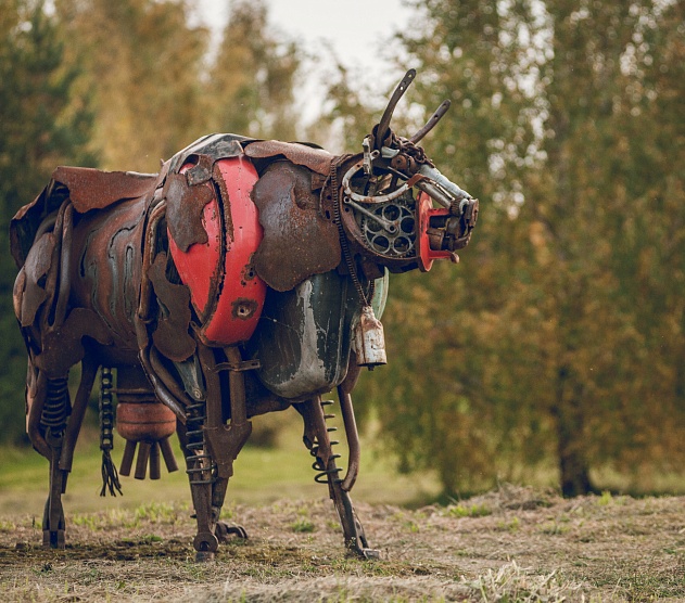 фотография события