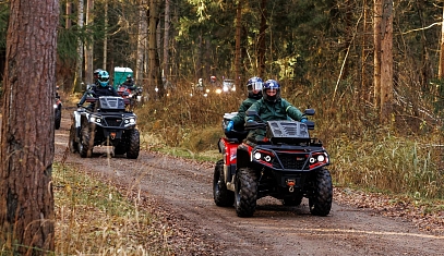 Лесная экспедиция