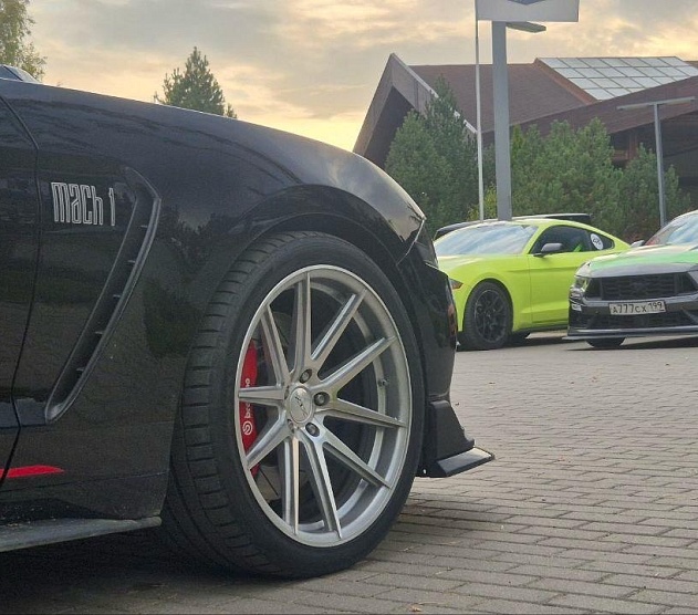 фотография события