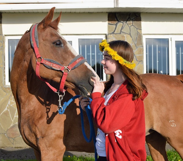 фотография события