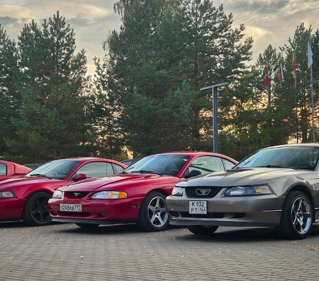 фотография события