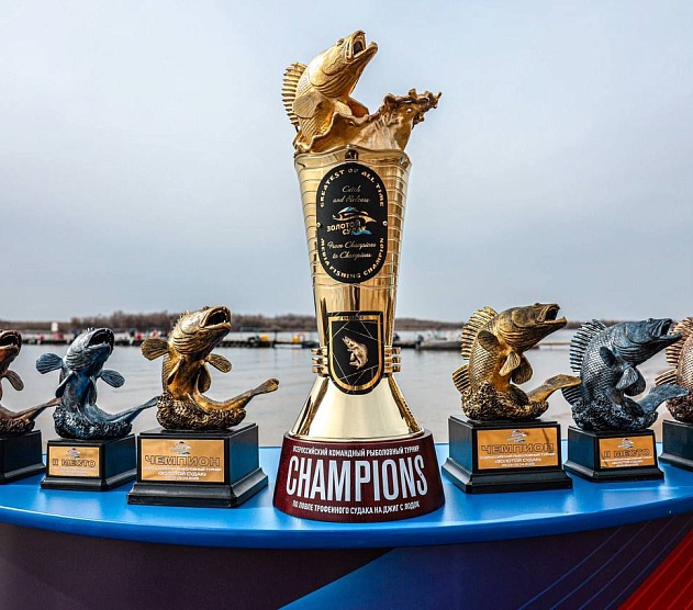 фотография события