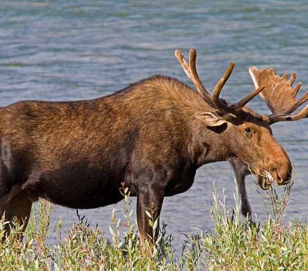 фотография события