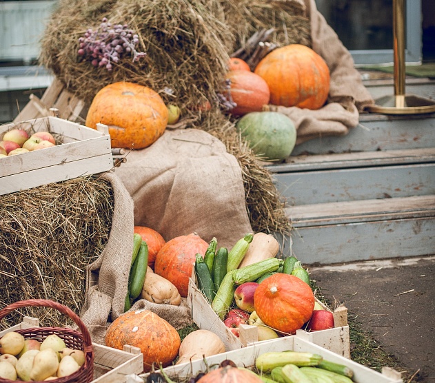 фотография события